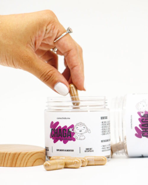 Chaga (Ononotus Obliquus) 60 cápsulas