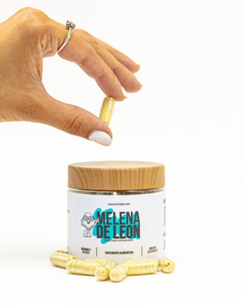 Capsula hongo melena de leon