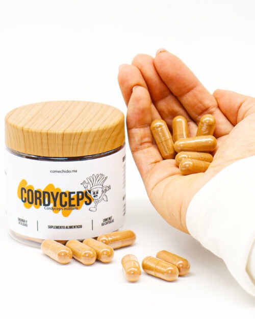 Cordyceps (Cordyceps Militaris) 60 cápsulas
