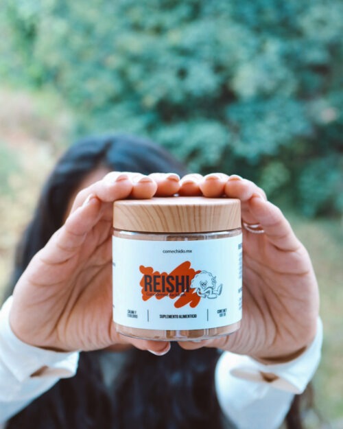 Reishi (Ganoderma Lucidum) 100 grs