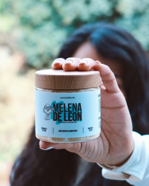 Melena de León (Hericium Erinaceus) 100grs