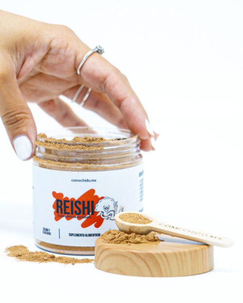 Reishi (Ganoderma Lucidum) 100 grs