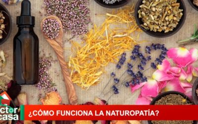 ¿Cómo funciona la naturopatía?