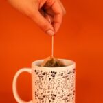 Taza de Hongos