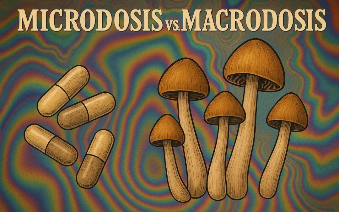 Microdosis vs Macrodosis Usos, Efectos y Mitos de los Psicodélicos