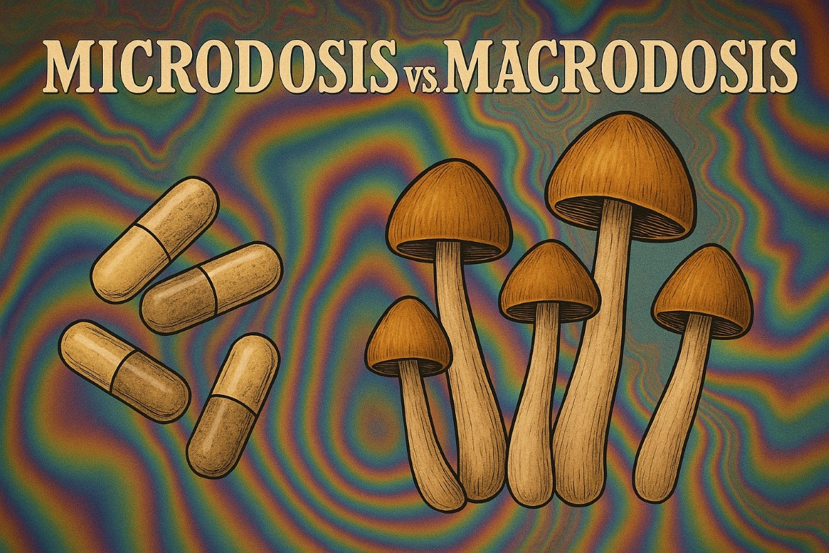 Microdosis vs Macrodosis Usos, Efectos y Mitos de los Psicodélicos