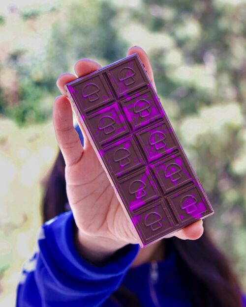 Champi Barra chocolate y hongos golden teacher Come Chido México