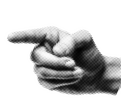 Hongos adaptógenos psilocibina infusiones herbales tienda online México 2